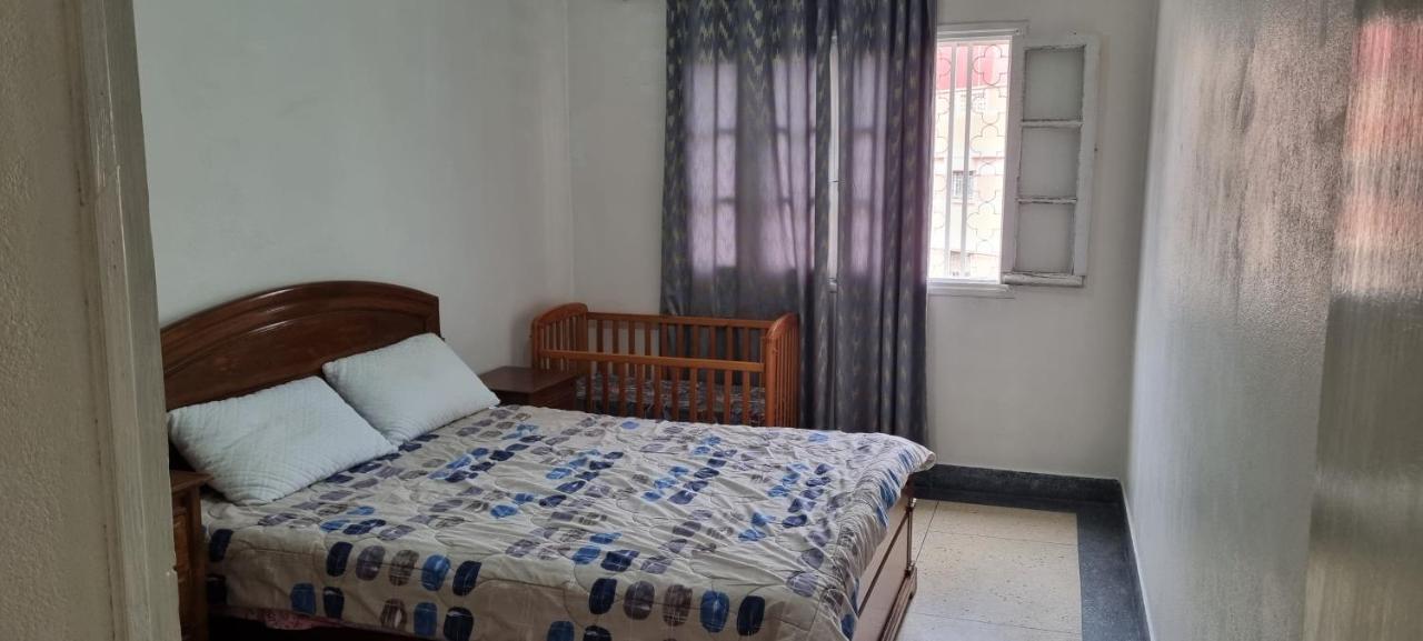 Adam Apartment